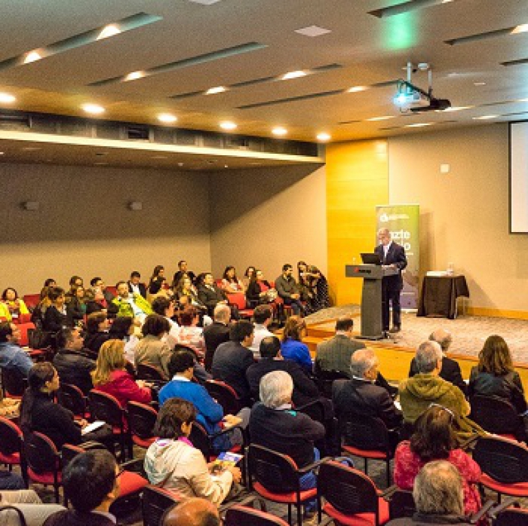 SOFOFA organiza una nueva edición del Encuentro de Consejos Comunales de Discapacidad en Villarrica