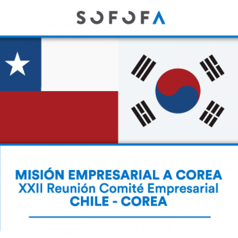 SOFOFA organiza XXII Reunión del Comité Empresarial Chile-Corea