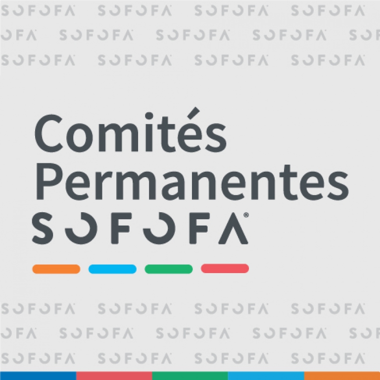 Mesa directiva de SOFOFA presenta integrantes de Comités de Trabajo del gremio