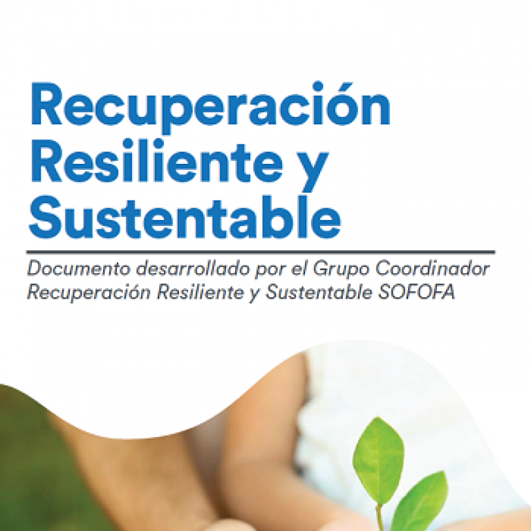 Descarga el Documento Recuperación Resiliente y Sustentable