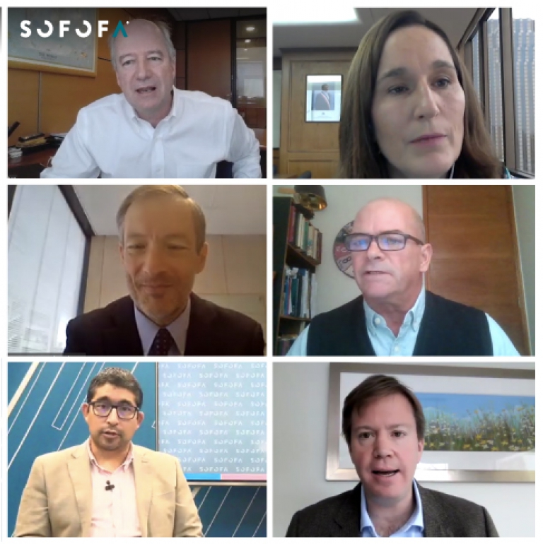 SOFOFA realiza webinar con directora ejecutiva del SEA y expertos para abordar los alcances y desafíos de la implementación del Acuerdo de Escazú