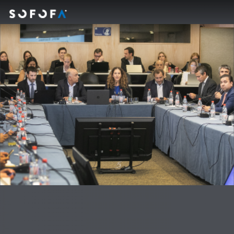 Consejo General de SOFOFA aprueba propuesta de modificación de estatutos