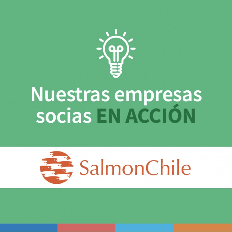 VIDEO ▶️: Salmón Chile incentiva la compra local entre emprendedoras de Quellón y Sodexo